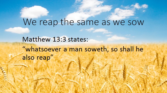 Law Of Sowing And Reaping – Tim Massengale